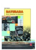 Batu Bara Potensi, Penambangan dan Pemanfaatan